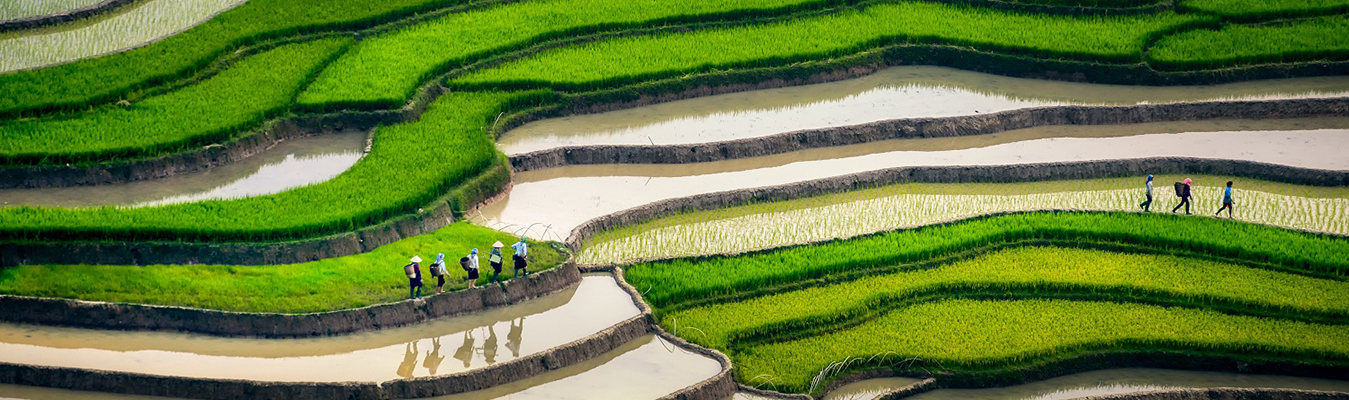 voyage nord vietnam