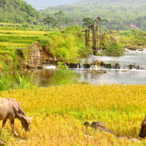 Itinéraire de voyage à Pu Luong Vietnam