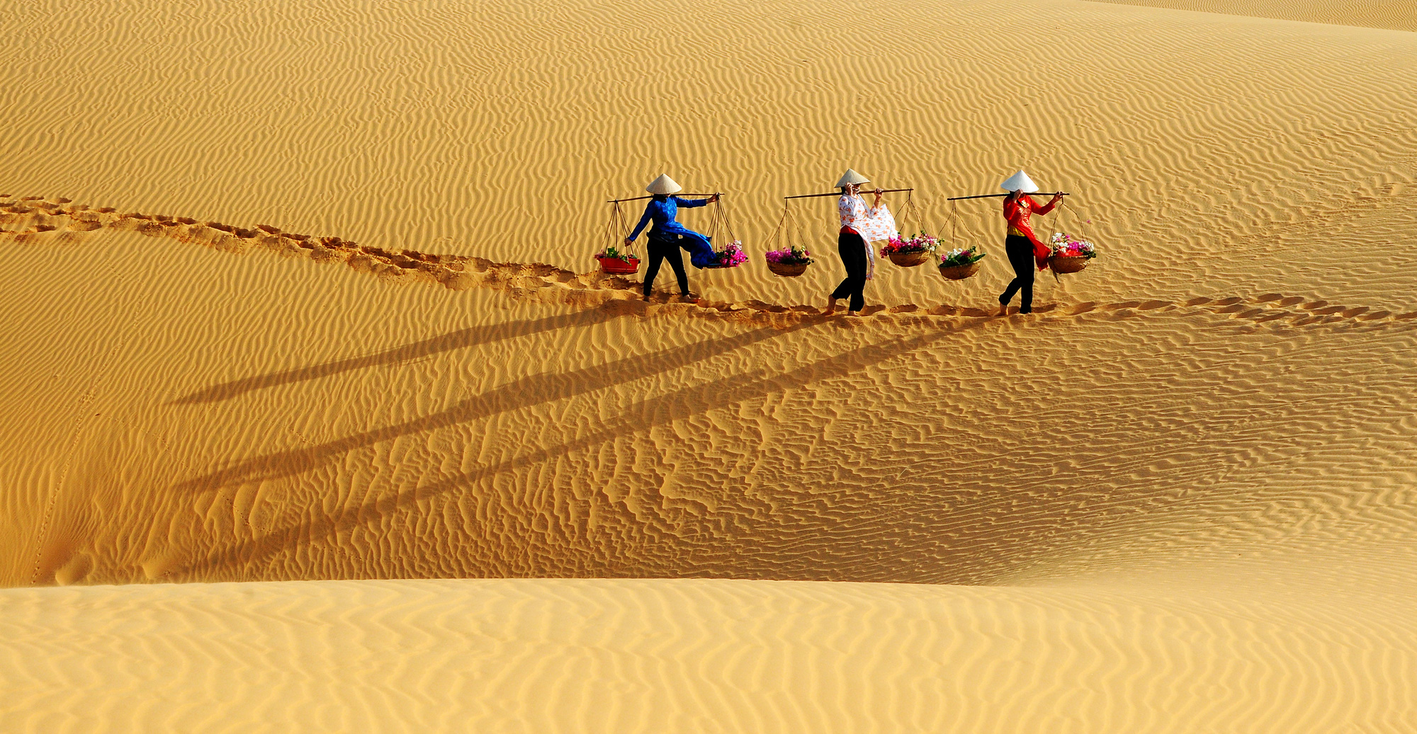 Dunes de sable de Mui Ne