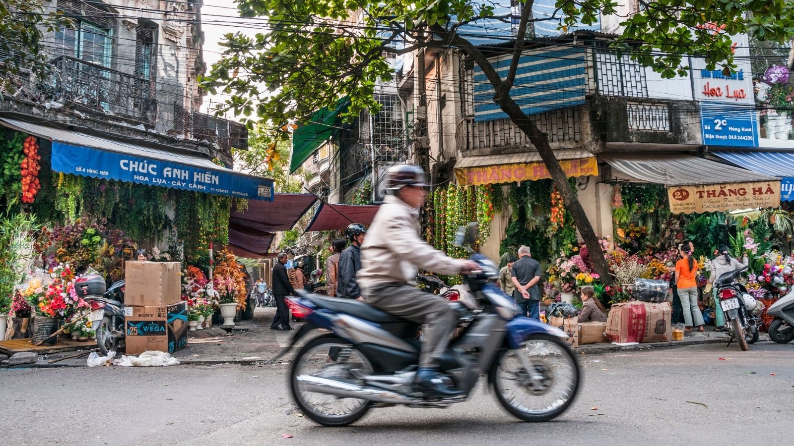 Le vieux quartier de Hanoi