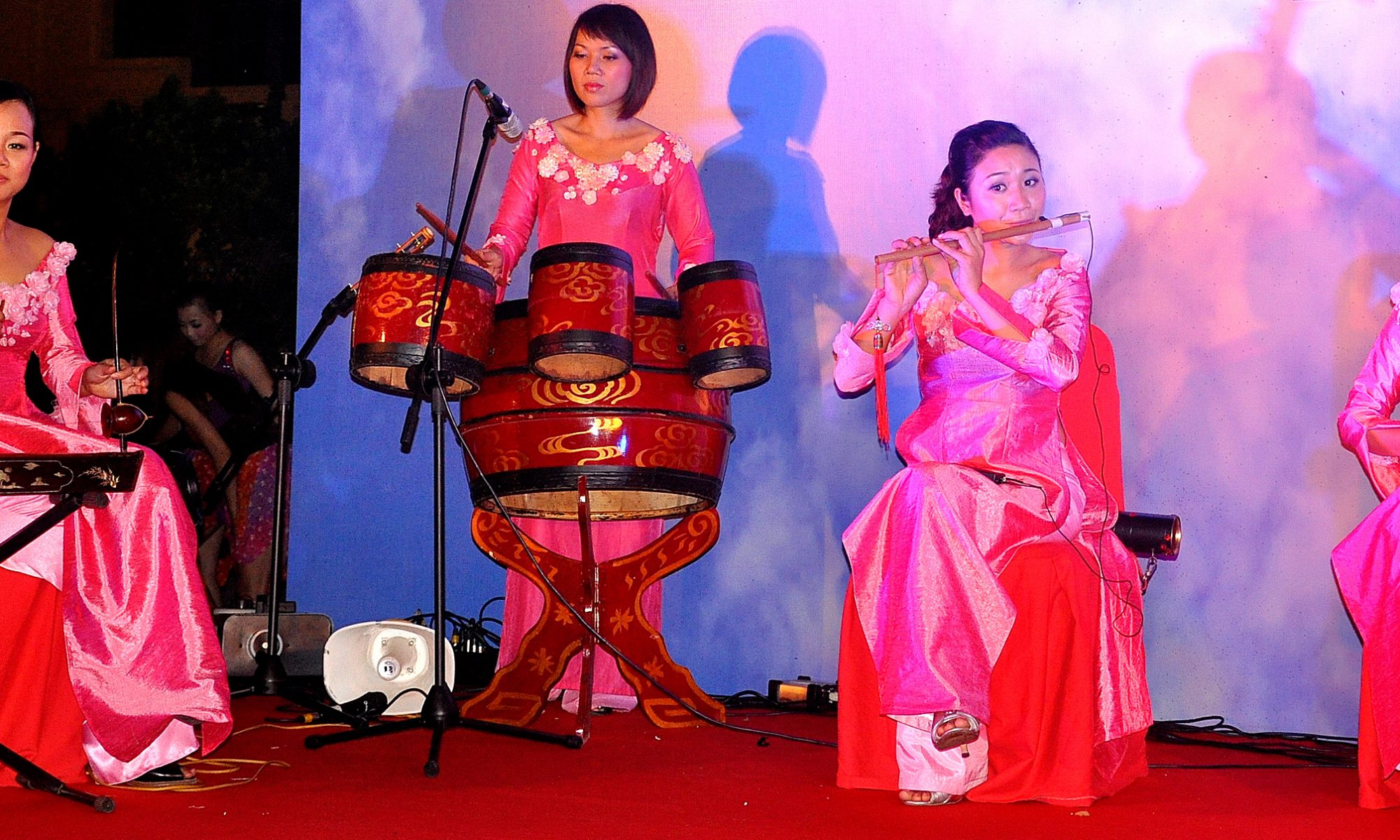 Musique traditionnelle vietnamienne