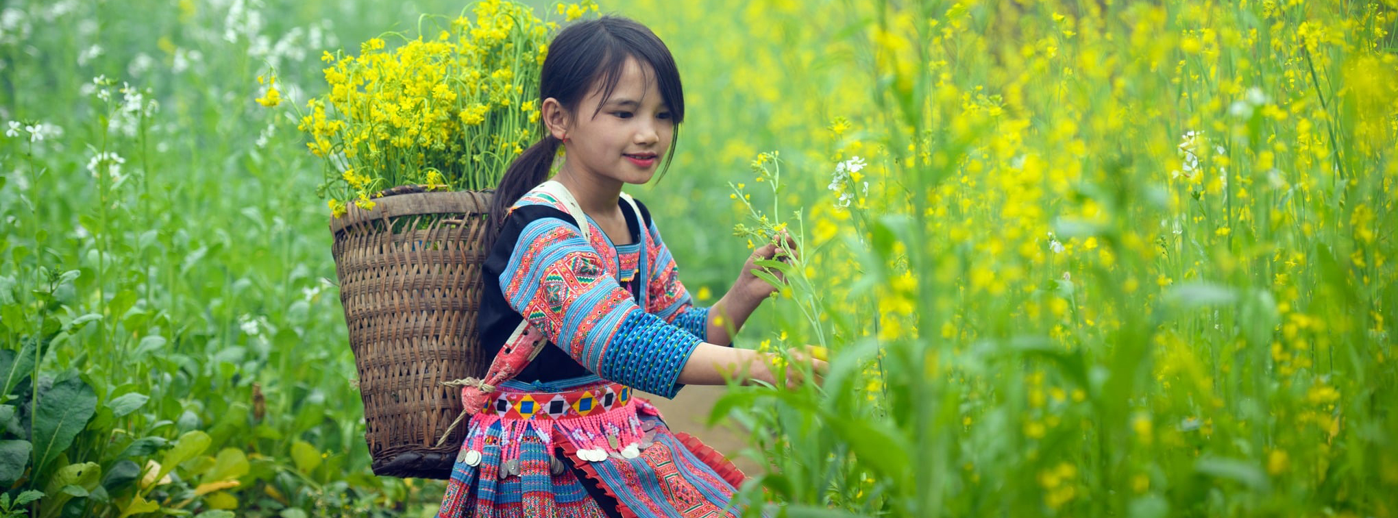 sejour vietnam tout inclus