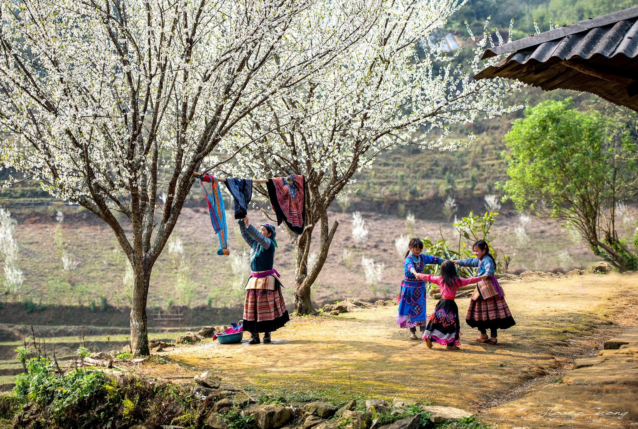 voyage Vietnam tout compris