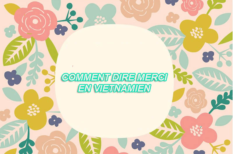 Apprendre à dire "merci" en vietnamien en 3 minutes