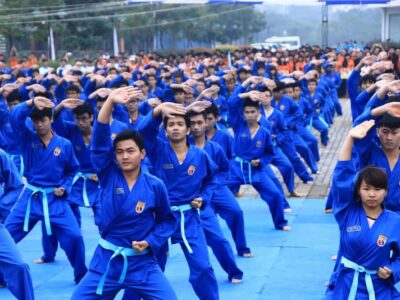 Le Vivonam-Viet Vo Dao ; pas seulement un sport, mais une partie de la culture de la nation