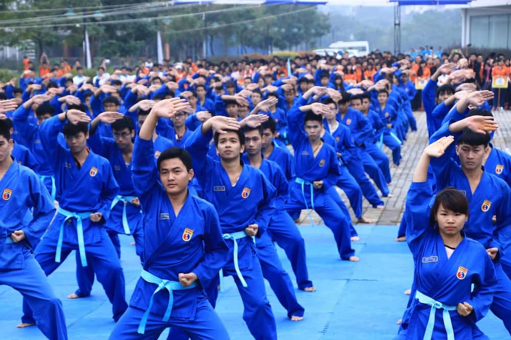 Le Vivonam-Viet Vo Dao ; pas seulement un sport, mais une partie de la culture de la nation