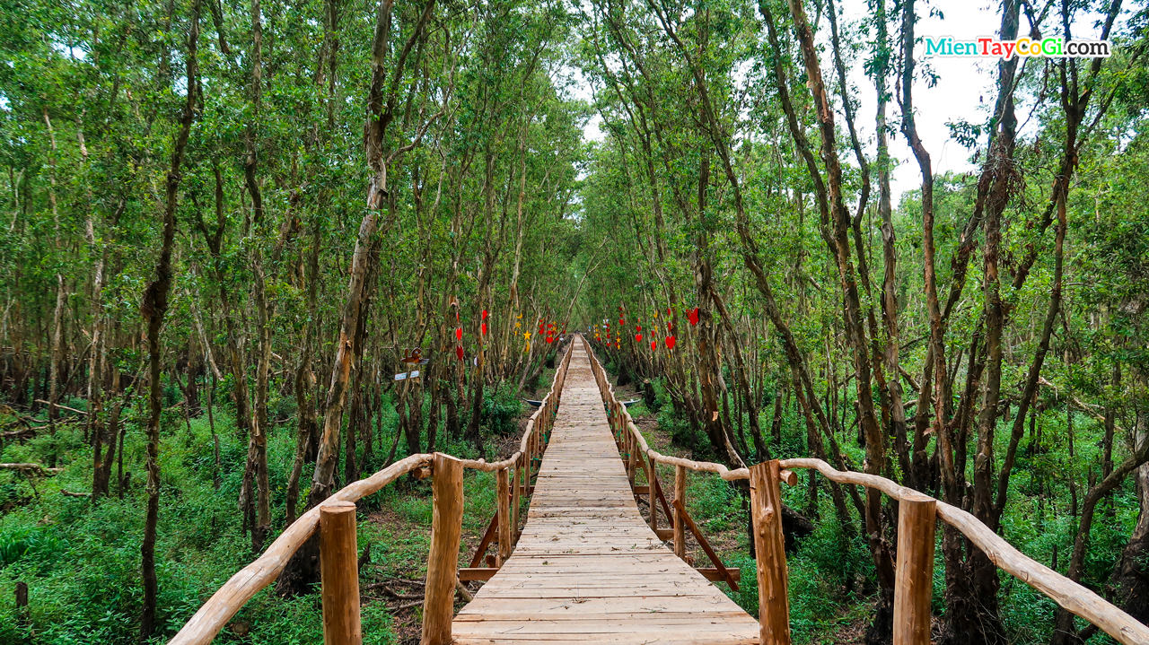 Le pont en bambou de Tra Su Melaleuca