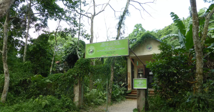 Centre de conservation des tortues