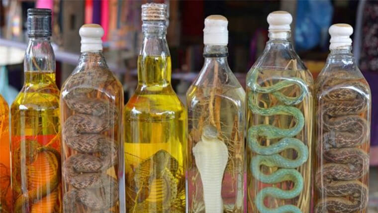 Comment est fabriqué la liqueur de serpent du Vietnam