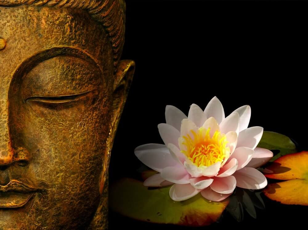Le lotus symbolise le détachement bouddhiste