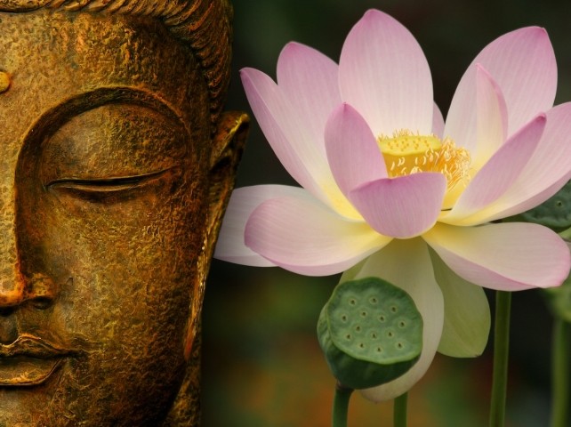Le symbole du lotus dans le bouddhisme vietnamien