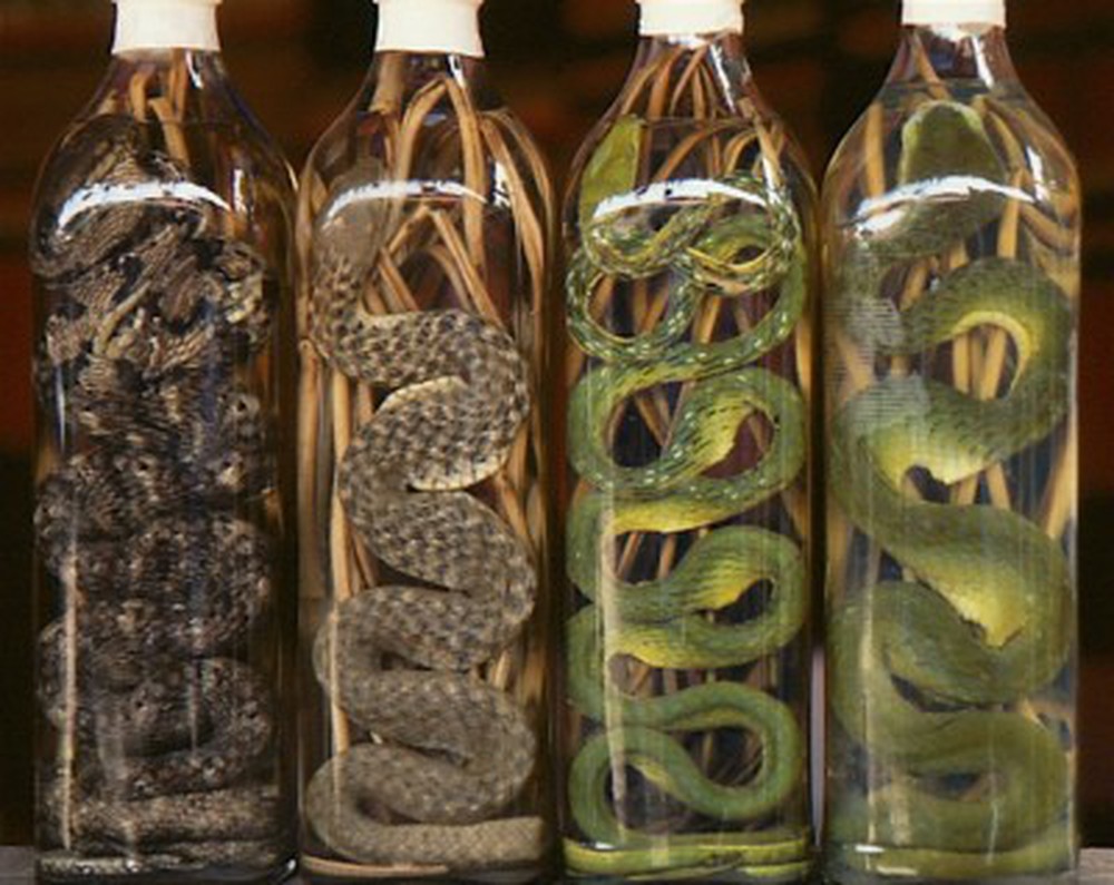 L'origine de la liqueur de serpent au Vietnam