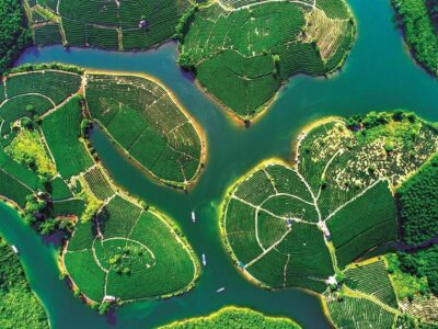 Đảo Chè -  îles de thé vert