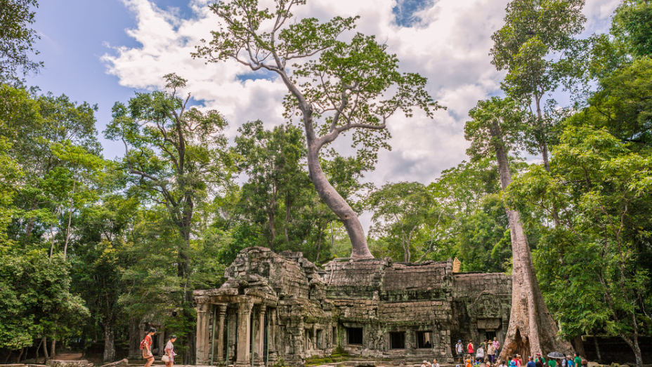 Aperçu du temple Ta Prohm Cambodge