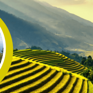 Circuit de trekking au Nord – Est du Vietnam 10 jours