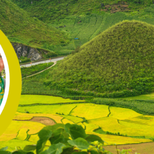 Circuit de trekking de 7 jours à Ha Giang
