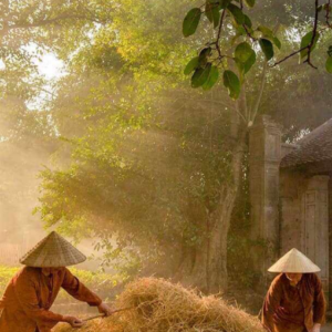 Voyage économique de Hanoi à Saigon 14 jours