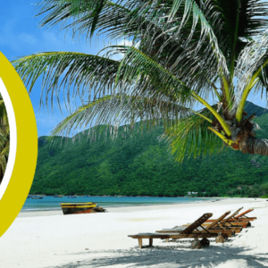 Immersion authentique dans le Sud et séjour balnéaire à Phu Quoc pendant 10 jours