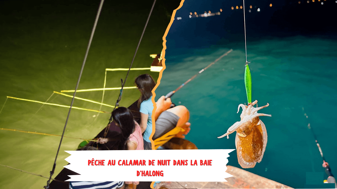 Baie d'Halong : 12 choses à savoir absolument avant de la visiter