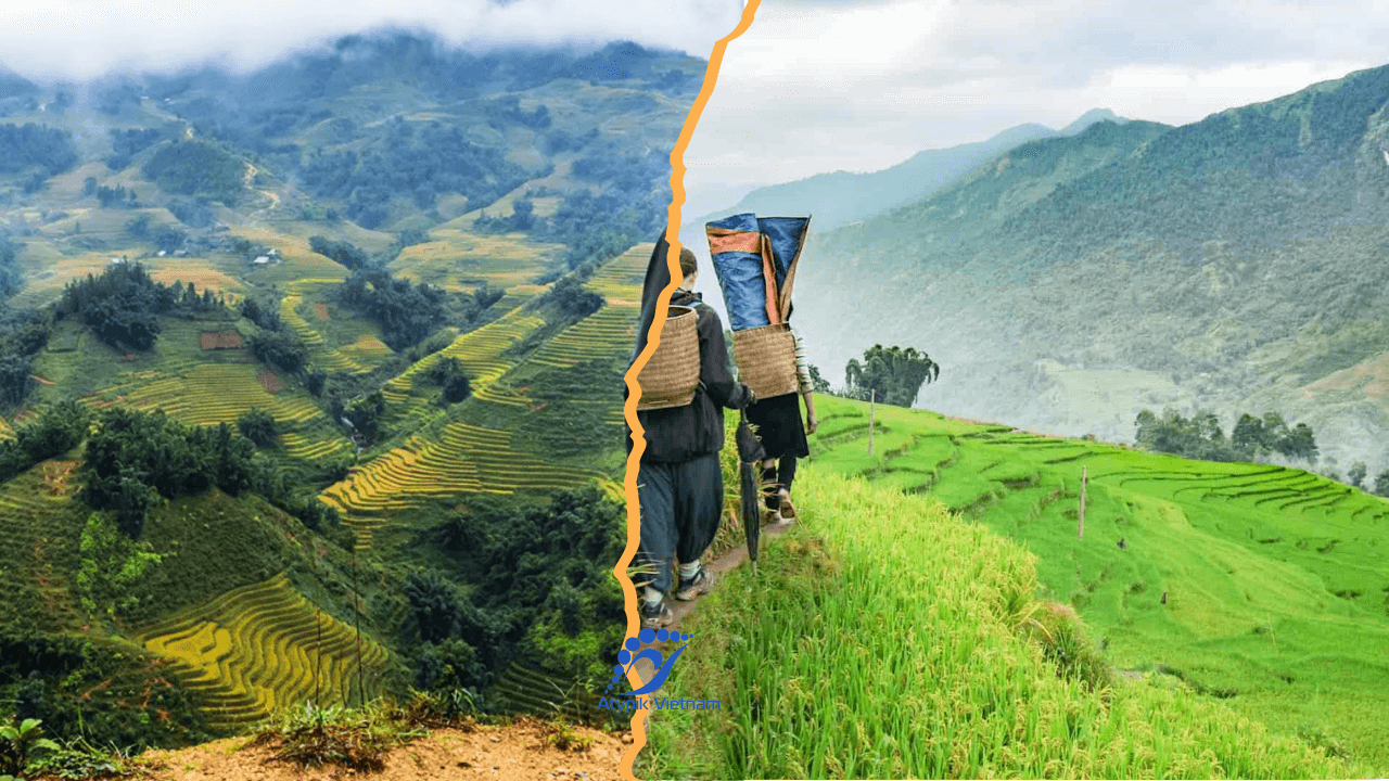Comment se rendre aux rizières de Sapa