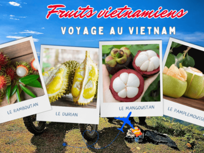 fruits vietnam