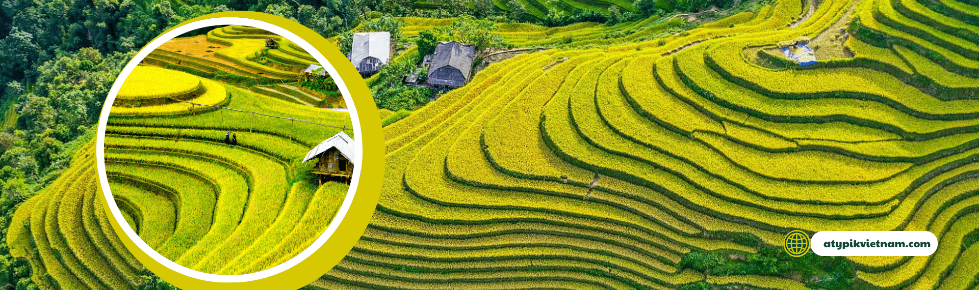 rizière Sapa Vietnam