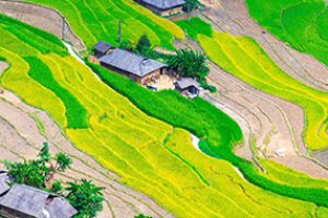 Hoang Su Phi home