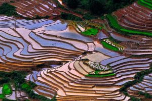 Mu-Cang-Chai-Hai-Thinh
