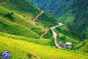 riziere-en-terrasse-sapa-trek-vietnam