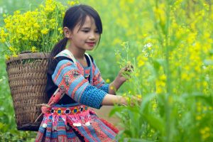 sejour vietnam tout inclus